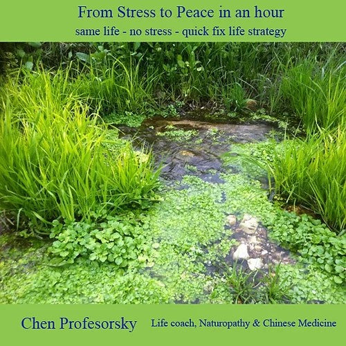 From Stress to Peace in an hour - digital book